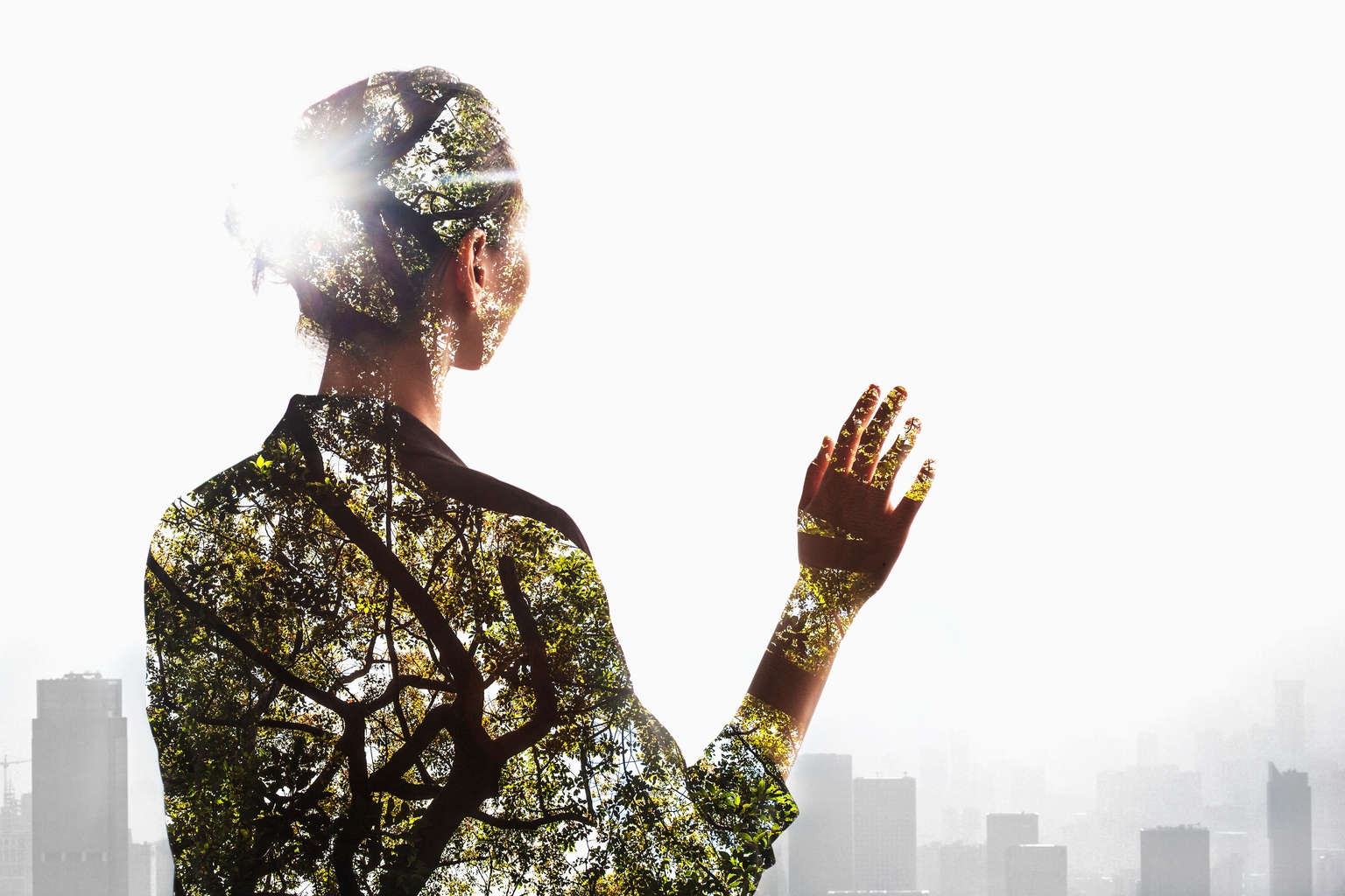 WTPI: Why ETFs Selling Puts For Income Have Not Gained Much Traction (NYSEARCA:WTPI)